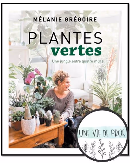 Plantes vertes